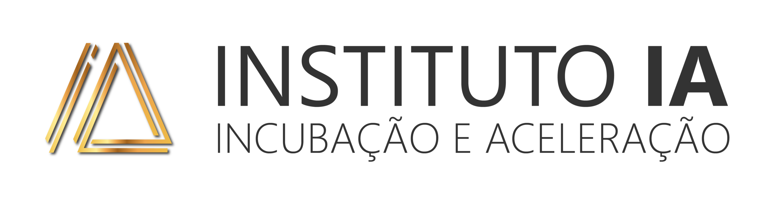 Instituto IA