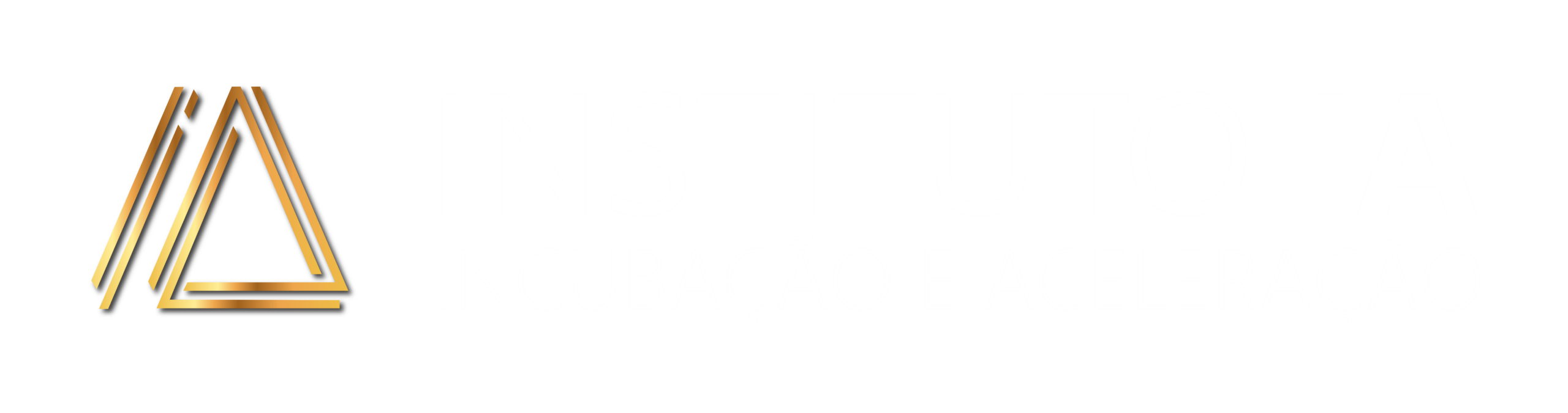 Projetos do Instituto IA